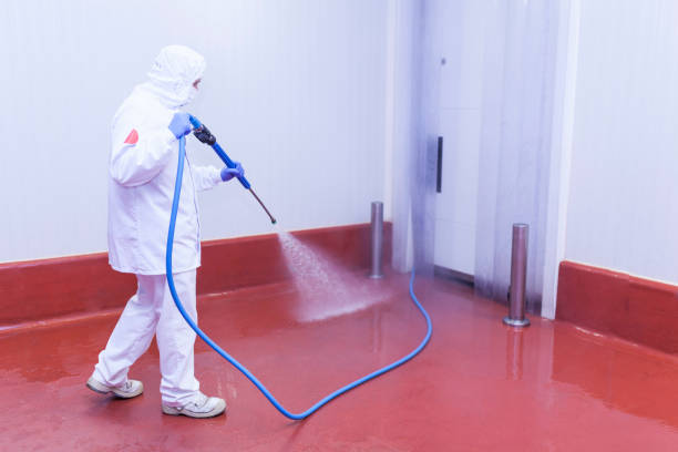 Best Paint Preparation  in Brecksville, OH